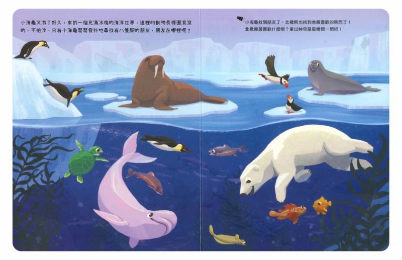 神奇星星燈- 海洋朋友在哪裡？